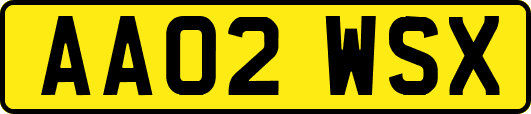 AA02WSX