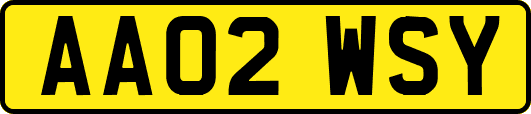 AA02WSY