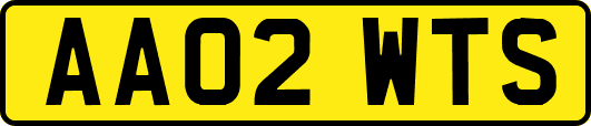 AA02WTS