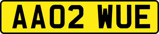 AA02WUE