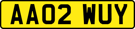 AA02WUY