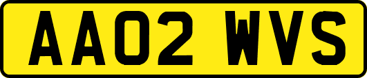 AA02WVS