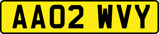 AA02WVY