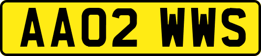 AA02WWS