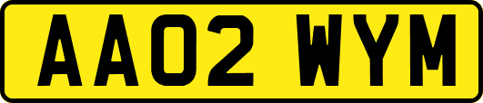 AA02WYM