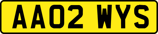 AA02WYS