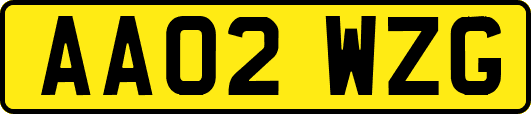 AA02WZG