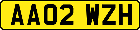 AA02WZH