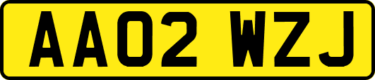 AA02WZJ