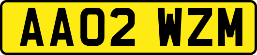 AA02WZM