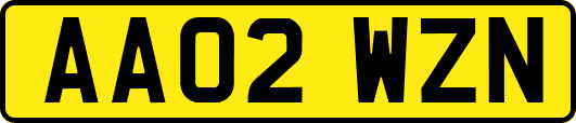 AA02WZN