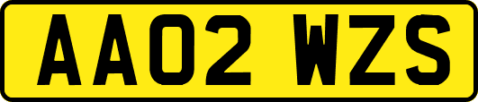 AA02WZS