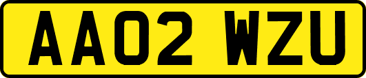AA02WZU
