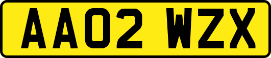 AA02WZX