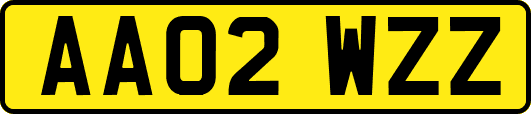 AA02WZZ
