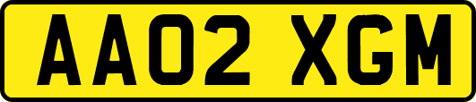 AA02XGM