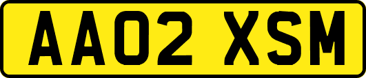 AA02XSM