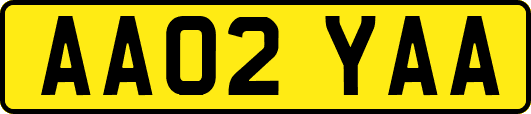 AA02YAA
