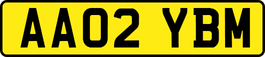 AA02YBM