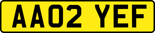 AA02YEF