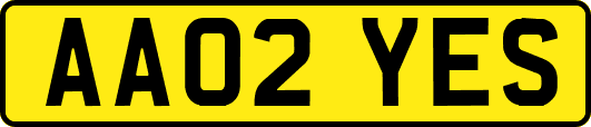 AA02YES