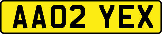 AA02YEX