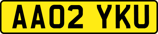 AA02YKU