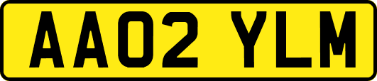 AA02YLM