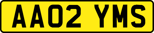 AA02YMS