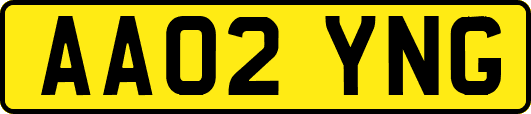 AA02YNG
