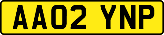 AA02YNP