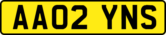 AA02YNS