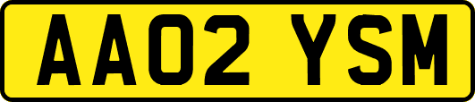 AA02YSM