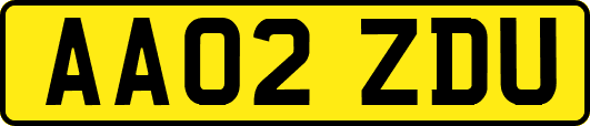AA02ZDU