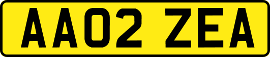AA02ZEA