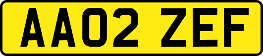 AA02ZEF