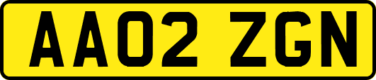 AA02ZGN