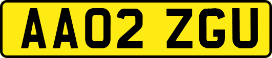 AA02ZGU