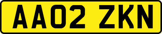 AA02ZKN