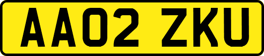 AA02ZKU