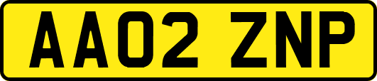 AA02ZNP