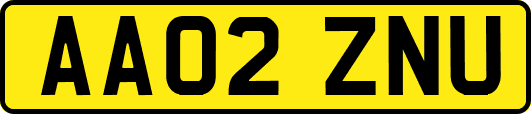 AA02ZNU