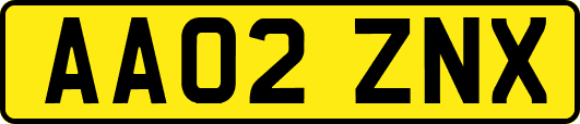 AA02ZNX