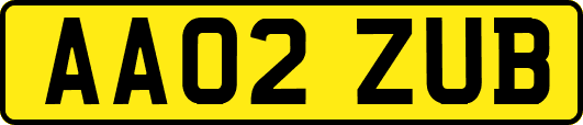 AA02ZUB