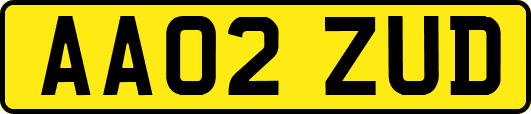 AA02ZUD