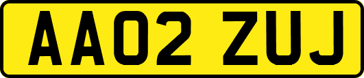 AA02ZUJ