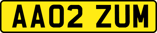 AA02ZUM