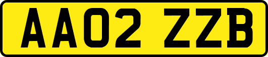 AA02ZZB