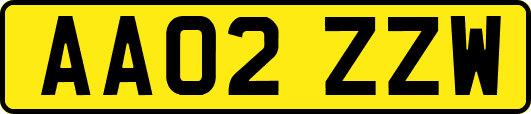 AA02ZZW