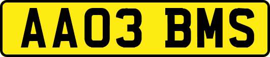 AA03BMS